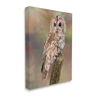 Stupell Home Decor Brown Tawny Owl Perched Painting Canvas Wall Art
