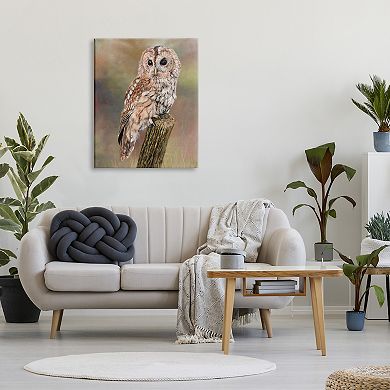 Stupell Home Decor Brown Tawny Owl Perched Painting Canvas Wall Art