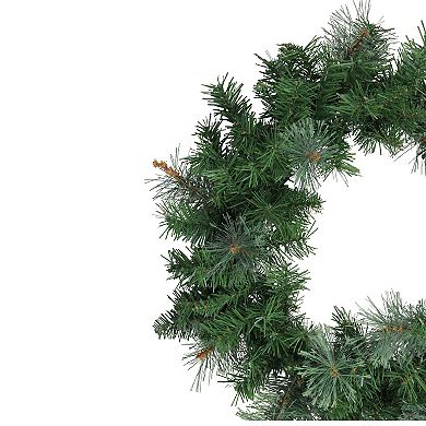 Northlight Mixed Cashmere Pine Artificial Christmas Wreath