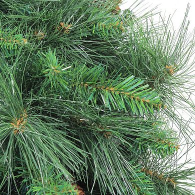 Northlight White Valley Pine with Pine Cones Artificial Christmas Wreath