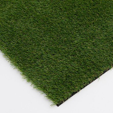 Loomaknoti Natco Home Artificial Grass Turf Indoor / Outdoor Area Rug