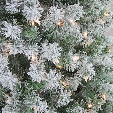 Northlight 4.5-ft. Pre-Lit Clear Lights Medium Flocked Winema Pine Artificial Christmas Tree