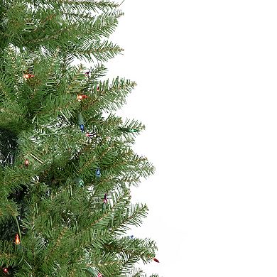 Northlight 6.5-ft. Pre-Lit Multi Lights Silver Lake Fir Pencil Artificial Christmas Tree