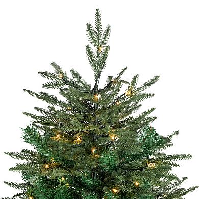 Northlight 6.5-ft. Pre-Lit LED White Lights Hudson Fir Artificial Christmas Tree 