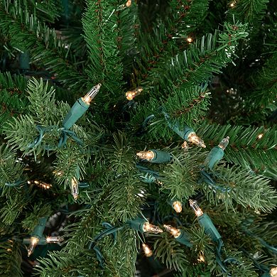 Northlight 6' Pre-Lit Grande Spruce Artificial Christmas Tree with Clear Lights