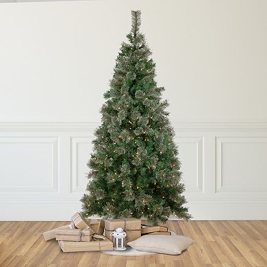 Northlight 6.5-ft. Pre-Lit Clear Lights Oregon Cashmere Pine Artificial Christmas Tree