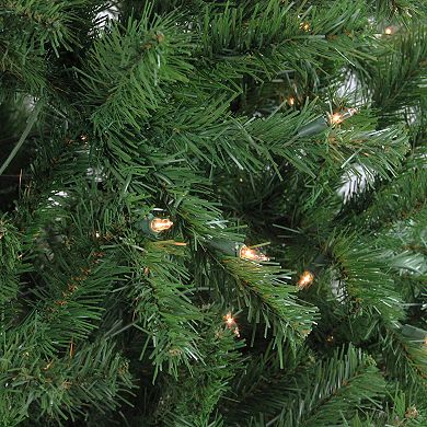Northlight 7.5' Pre-Lit Slim Waterton Spruce Artificial Christmas Tree - Clear Lights