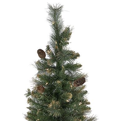 Northlight 7' Pre-Lit Yorkshire Pine Pencil Artificial Christmas Tree - Clear Lights