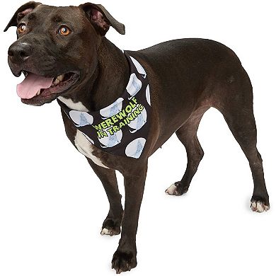 Zodaca Pet Bandana for Dogs and Cats, 6 Holiday Designs (23.6 x 16.5 In, 6 Pack)