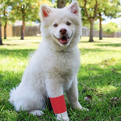 Juvale 12 Rolls Colorful Self Adhesive Bandage Wrap, 4 Inches x 5 Yards Cohesive Vet Tape for First Aid (12 Bright Colors)
