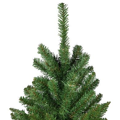 Northlight 7.5' Unlit Pencil White River Fir Artificial Christmas Tree
