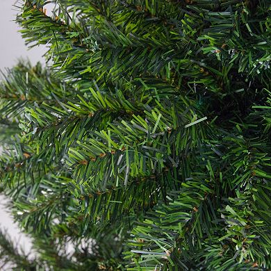Northlight 6' Full Canadian Pine Artificial Christmas Tree - Unlit