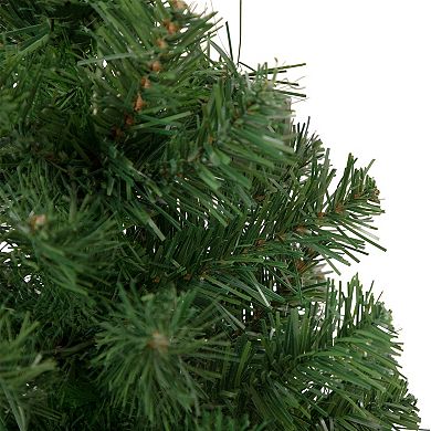 Northlight 2 ft. Oakridge Noble Fir Artificial Christmas Tree Unlit