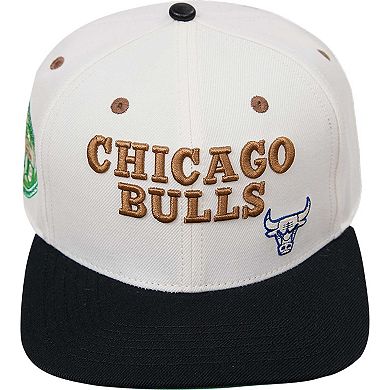 Men's Cream/Black Chicago Bulls Album Cover Snapback Hat