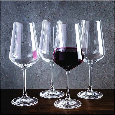 Food Network™ 4-pc. Red Wine Glasses Set