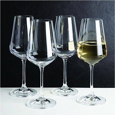Food Network™ 4-pc. White Wine Glass Set