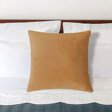 Harper Lane® Solid Velvet Throw Pillow