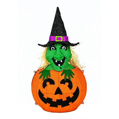 National Tree Company LED 3D Lit-Up Witch on Pumpkin