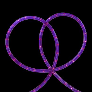 18' Pre lit Purple Incandescent Outdoor Christmas Rope Lights