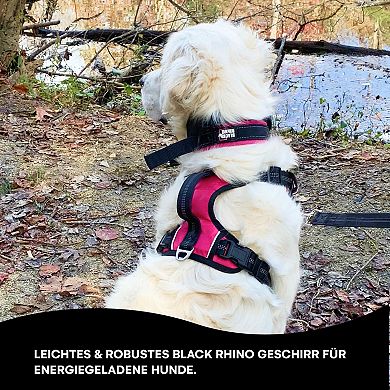 Comfort Dog Harness with Mesh Padded Vest  Adjustable  Reflective