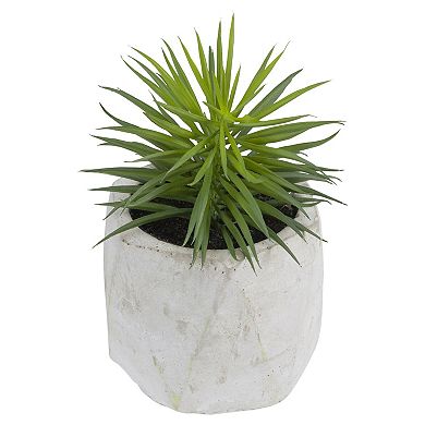 5.5" Potted Artificial Succulent in Cement Pot