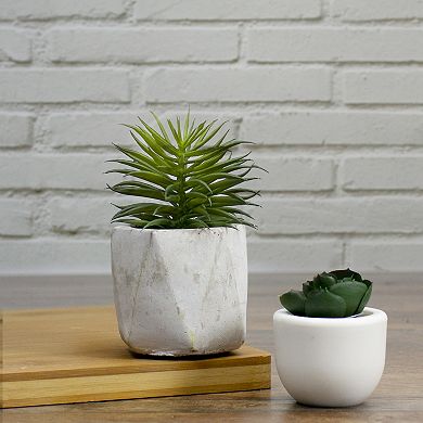 5.5" Potted Artificial Succulent in Cement Pot