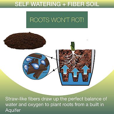 Window Garden Aquaphoric Self Watering Mini Planter Pots 3 Pack