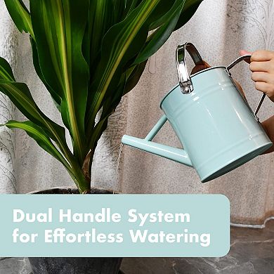 Metal Watering Can With Removable Spout, Perfect Plant Watering Can For Indoor And Outdoor Plants