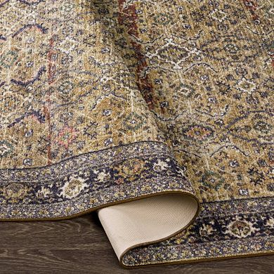 Paw Paw Traditional Washable Area Rug - Livabliss