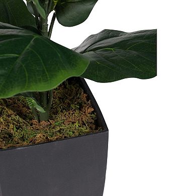 35.25" Black and Green Wide Potted Fiddle-Leaf Fig Plant