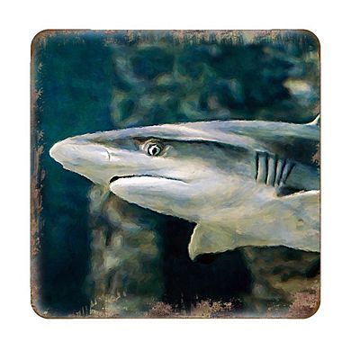 Shark Coastal Wooden Cork Coasters Gift Set of 4 by Nature Wonders