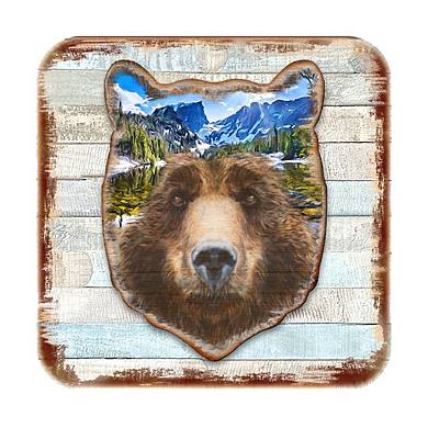 Bear Face Wooden Cork Coasters Gift Set of 4 by Nature Wonders