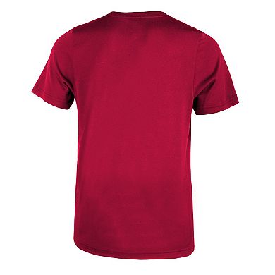 Preschool Nike Cardinal Arkansas Razorbacks 2023 Sideline Legend Performance T-Shirt