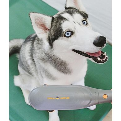 Paw Wave Perk - Percussion Therapy Pet Massager