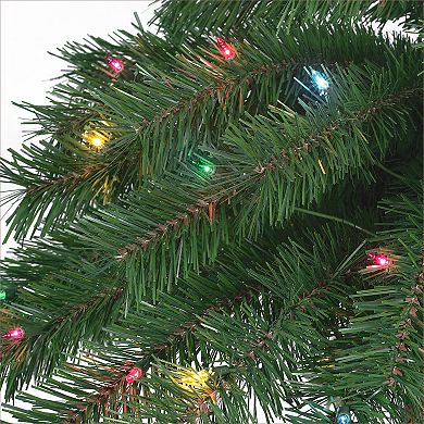 Puleo International Inc. 3.5-ft. & 6-ft. Pre-Lit Double Trunk Artificial Palm Christmas Tree