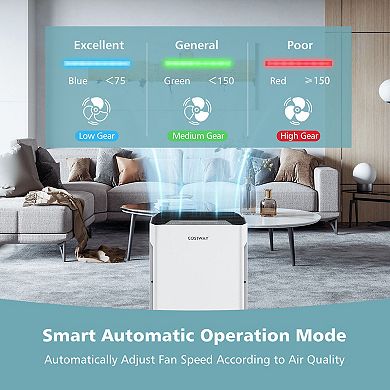 H13 True HEPA Air Purifier with Adjustable Wind Speeds