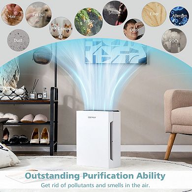 H13 True HEPA Air Purifier with Adjustable Wind Speeds