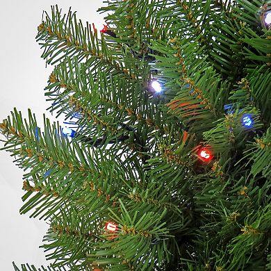 National Tree Company 24-in. Norwood Fir Artificial Wreath with 50 Twinkly™ Lights