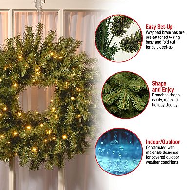 National Tree Company 24-in. Norwood Fir Artificial Wreath with 50 Twinkly™ Lights