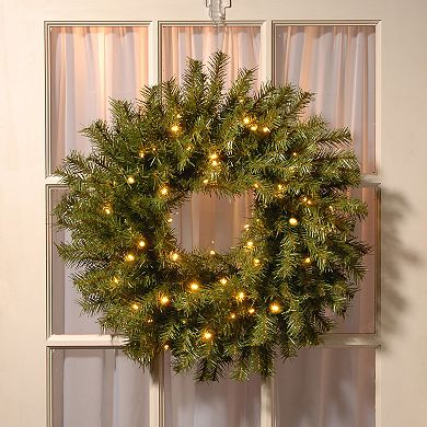 National Tree Company 24-in. Norwood Fir Artificial Wreath with 50 Twinkly??? Lights