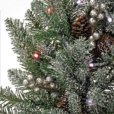 National Tree Company 30-in. Feel Real® Snowy Morgan Spruce Artificial Wreath with Twinkly™ Lights