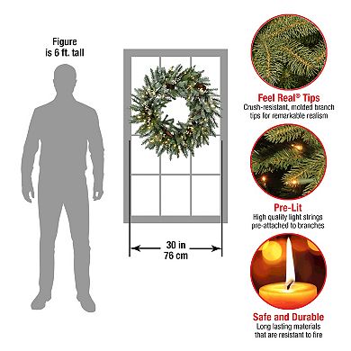 National Tree Company 30-in. Feel Real® Snowy Morgan Spruce Artificial Wreath with Twinkly™ Lights