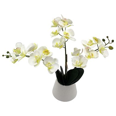Sonoma Goods For Life® Potted Artificial White Orchid Floral Arrangement Floor Decor