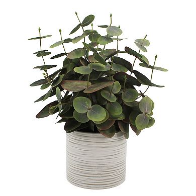 Sonoma Goods For Life® Artificial Eucalyptus Potted Plant Table Decor