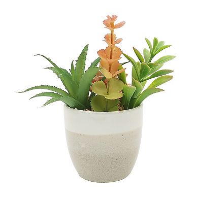 Sonoma Goods For Life® Potted Faux Succulent