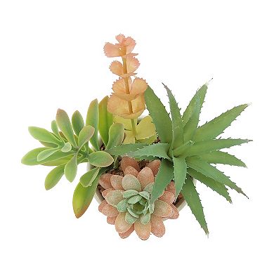 Sonoma Goods For Life® Potted Faux Succulent