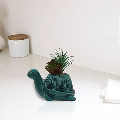 Sonoma Goods For Life® Artificial Air Plant In Teal Turtle Planter Table Decor