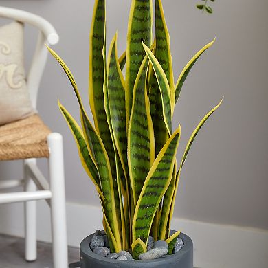 nearly natural 3-ft. Sansevieria Artificial Plant in Gray Bullet Planter