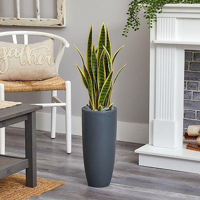 nearly natural 3-ft. Sansevieria Artificial Plant in Gray Bullet Planter