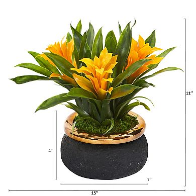 nearly natural 11-in. Bromeliad with Planter